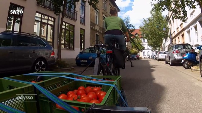 Strategie der Krummen Grurken V